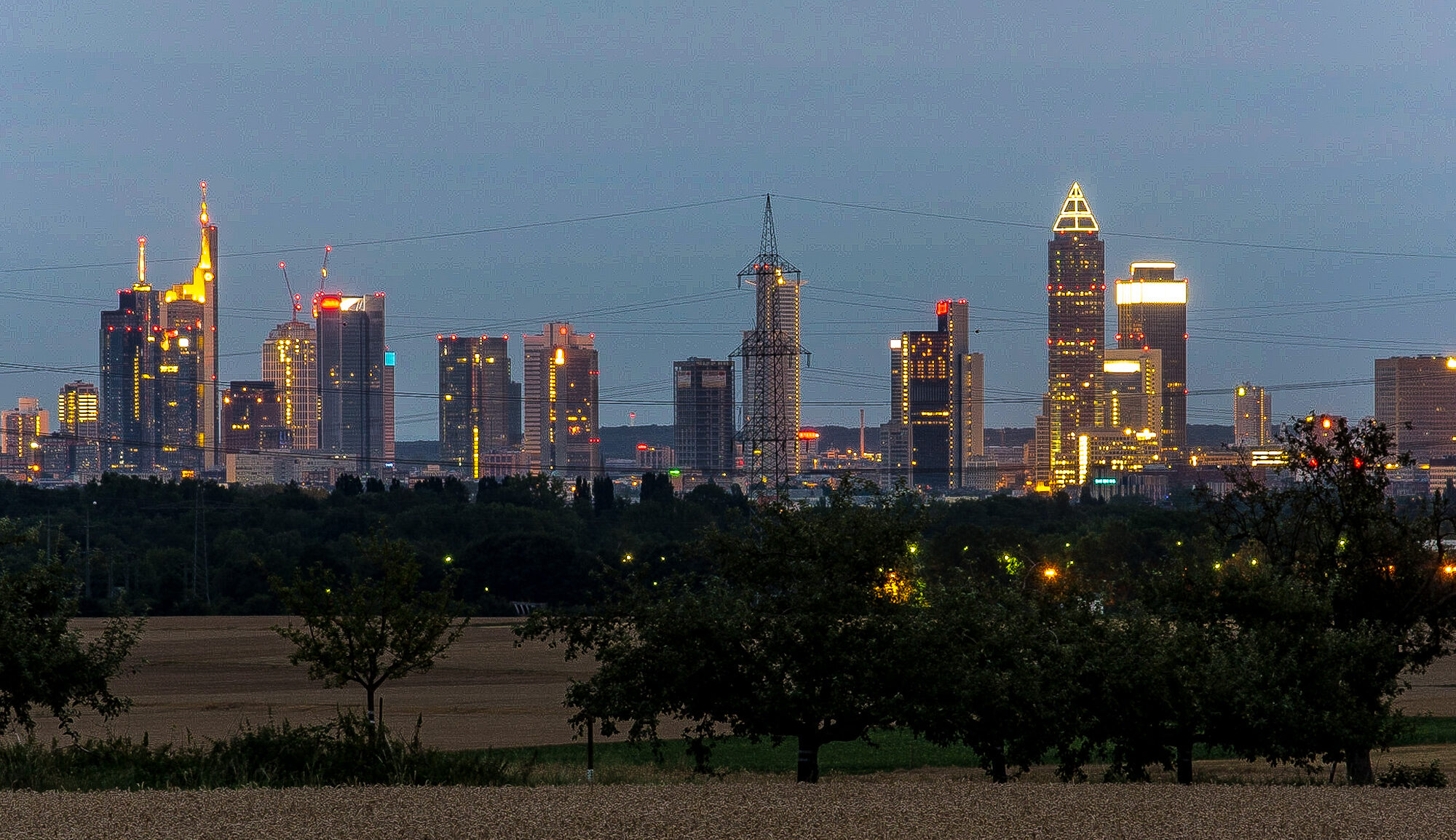 Skyline von Frankfurt am Main bei Abenddämmerung mit Feld und Bäumen im Vordergrund